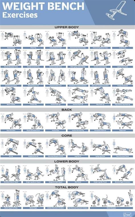Printable Weight Bench Exercise Chart