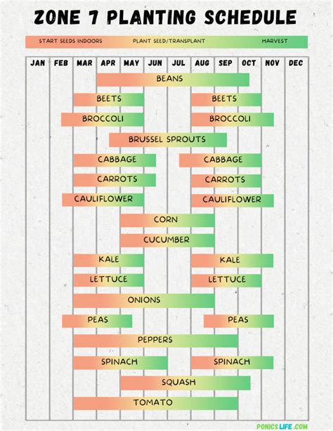 Printable Zone 7 Planting Schedule