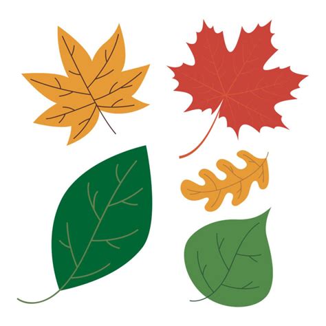 Printables Of Leaves