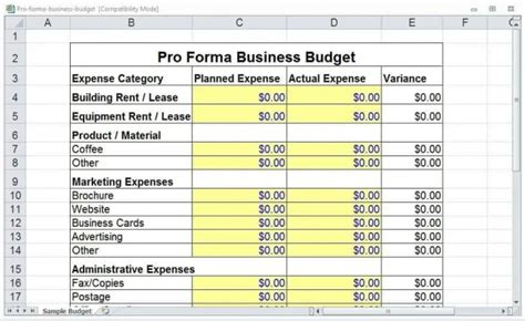Pro Forma Budget Template