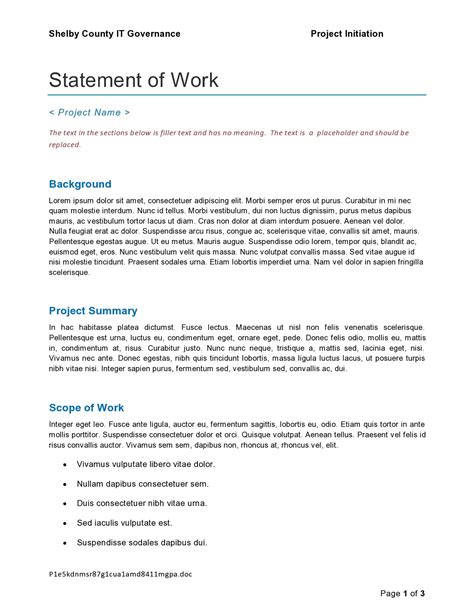 Project Management Statement Of Work Template