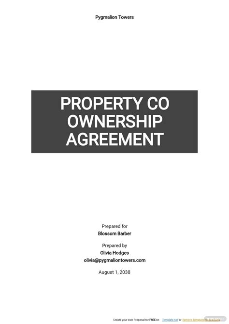 Property Co Ownership Agreement Template
