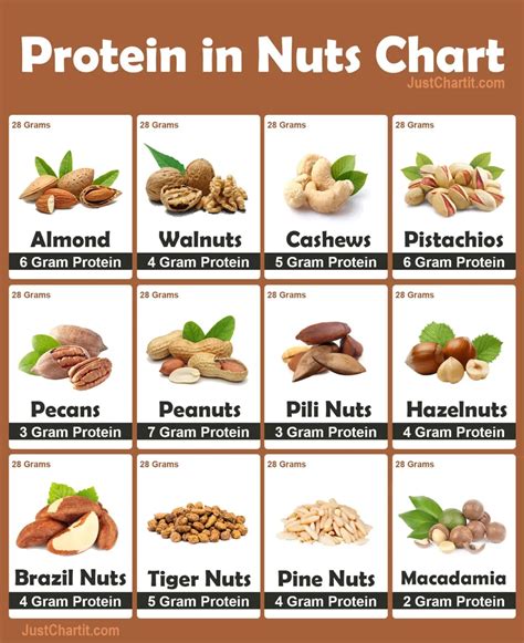 Protein Nuts Chart