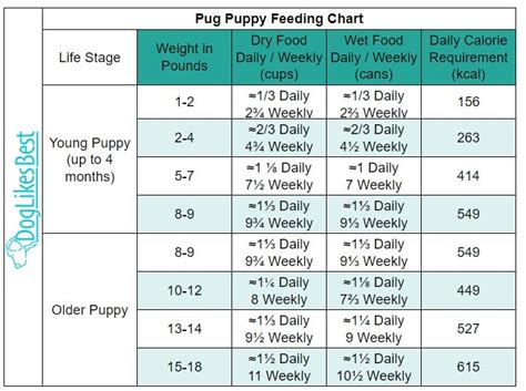 Pug Feeding Chart