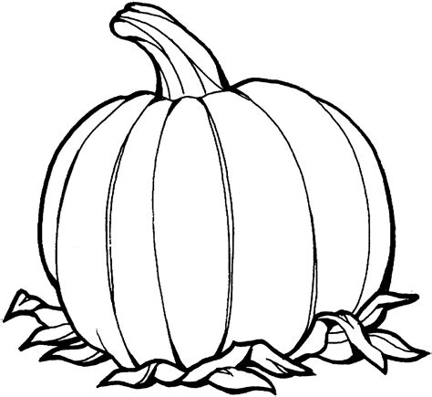 Pumpkin Coloring Page Printable