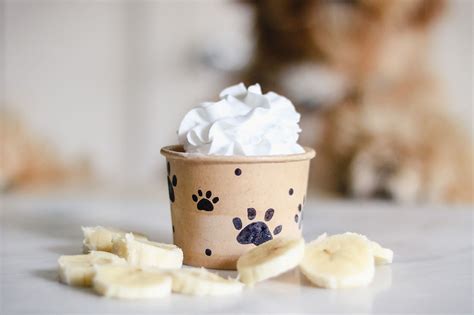 Pup Cup Ice Cream: A Refreshing Treat for Your Furry Friend