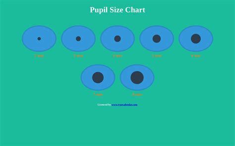Pupil Chart Size