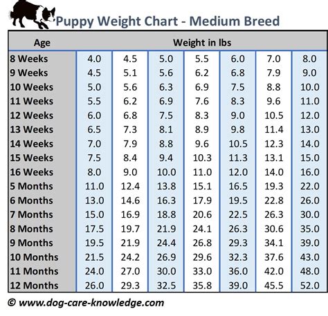 Puppy Weight Calculator Chart