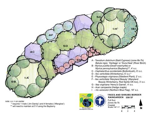 Rain Garden Design Templates