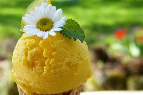 Rasakan Sensasi Kesegaran Melona, Es Krim yang Menemani Setiap Momen Bahagia