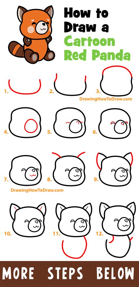 Red Panda Easy Drawing