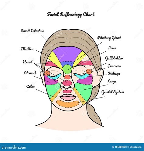 Reflexology Face Chart