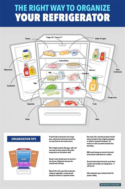 Reimagine Your Storage: The Ultimate Guide to Commercial Fridges for Success