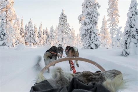 Renskötselområde Korsord: En Inspirerande Guide till Lapplands Förtrollande Kultur