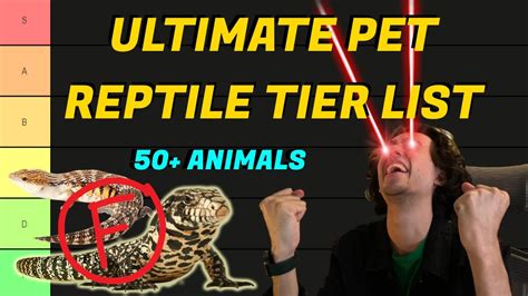 Reptilmässa: The Ultimate Guide for Beginners