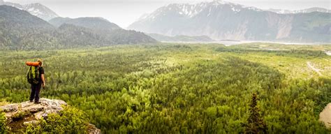 Resa till Alaska: Den ultimata reseguiden