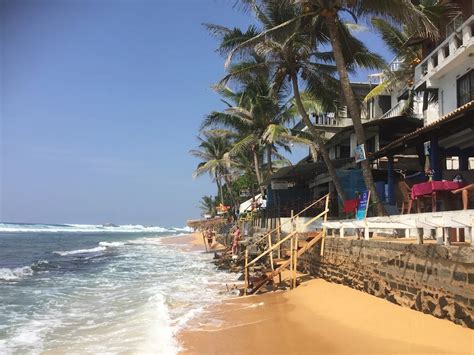 Resa till Sri Lanka på egen hand – En guide för äventyrare