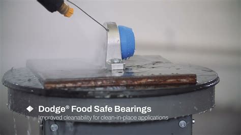 Revolutionize Food Safety: The Dodge Food Safe Bearing - Your Ultimate Weapon