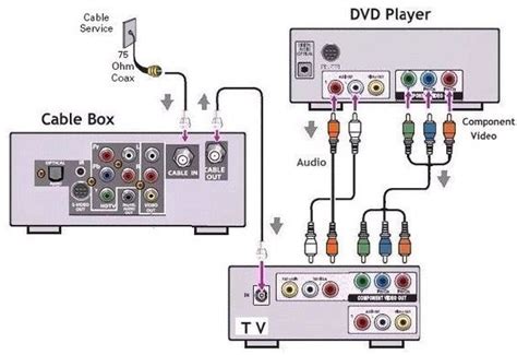 Ripspeed Dvd Player Wiring Diagram