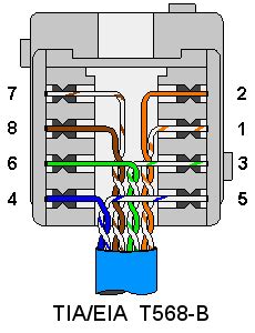 Rj45 Wall Box Wiring Diagram