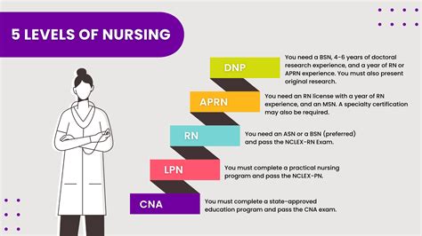 Rn Career Path