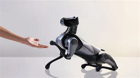 Robotar som hundar – framtidens husdjur?