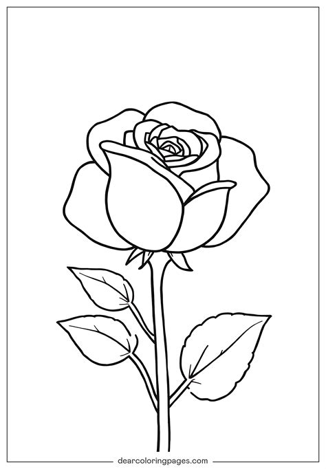 Rose Printable Coloring Pages