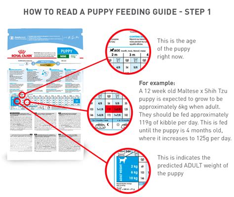Royal Canin Feeding Chart