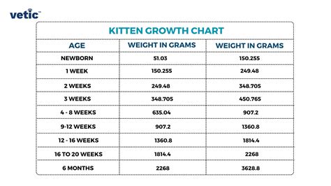 Runt Kitten Growth Chart