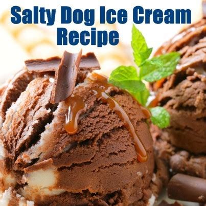 Salty Dog Ice Cream: The Ultimate Summer Treat