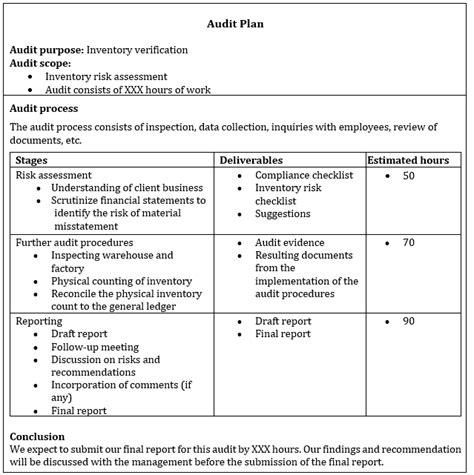 Sample Audit Procedures Template
