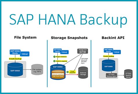Sap Hana Backup Catalog