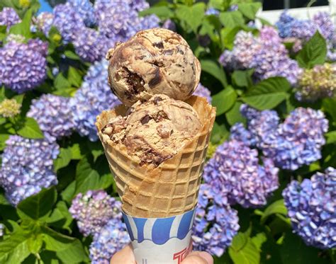 Savory Summer Delights: Embark on a Cape Cod Ice Cream Odyssey