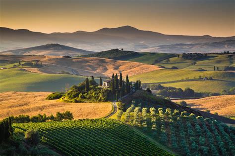 Scotsman Italia: A Journey of Success in the Heart of Tuscany