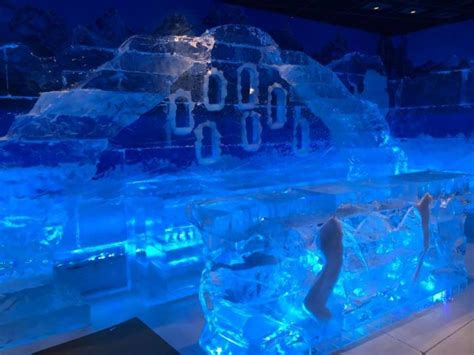 Scottsdale Ice Bar: A Chilly Oasis in the Desert