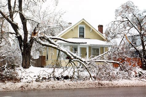 Seattles Historic Ice Storm: A Journey of Resilience and Renewal