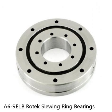 Seek Precision and Excellence with Rotek Slewing Bearings