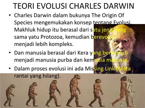 Sejarah dan Evolusi Heladerodie di Indonesia