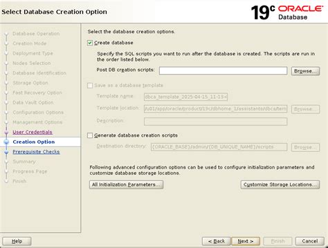 Select Catalog Role In Oracle 19c