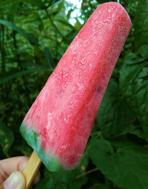 Sensasi Segar dan Manis Es Krim Semangka dengan Pembuat Es Krim