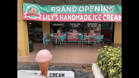 Sensational Summer Delights: Dive into the World of Ice Cream Delray!
