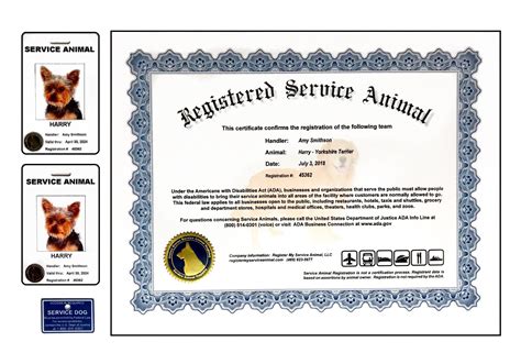 Service Dog Certification Template