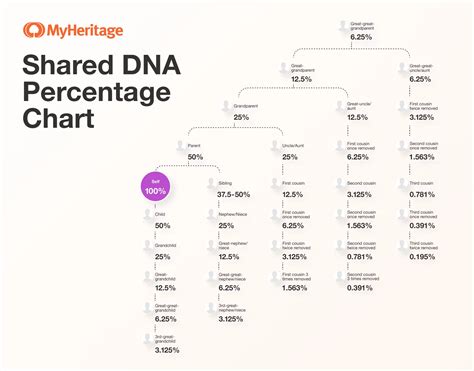 Shared Dna Percentage Chart