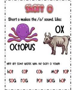 Short O Anchor Chart