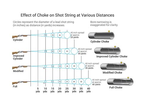 Shotgun Choke Patterns Chart