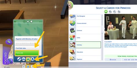 Sims 4 Culinary Career