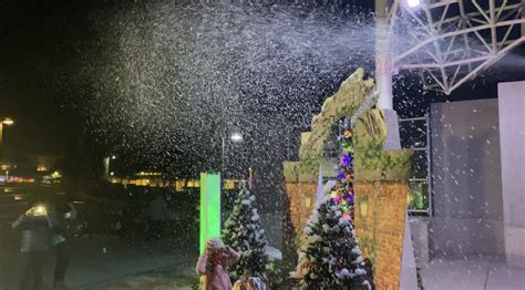 Snow Machine Rental Miami: Experience Winter Magic in the Sunshine State
