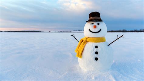 Snowman Ice Maker: Your Winter Wonderland at Home
