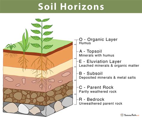 Soil Horizon Chart