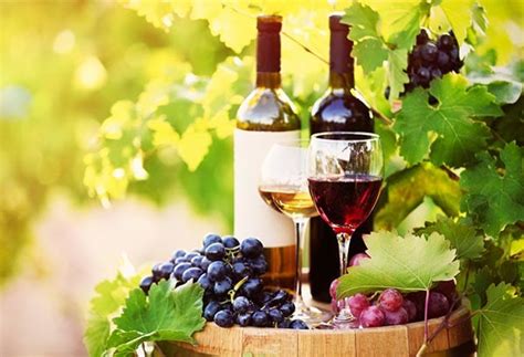 Spanskt vin korsord: En guide för nybörjare